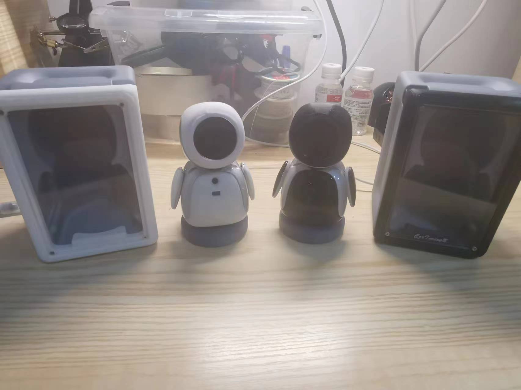 实物